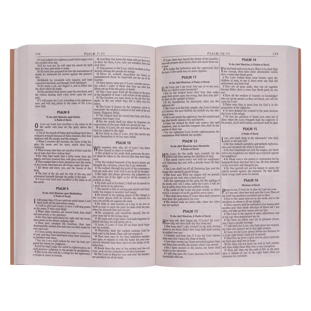 Antique Gold Softcover Gift & Award King James Version Bible