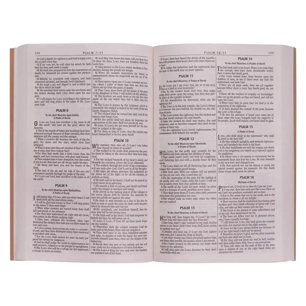 Antique Gold Softcover Gift & Award King James Version Bible