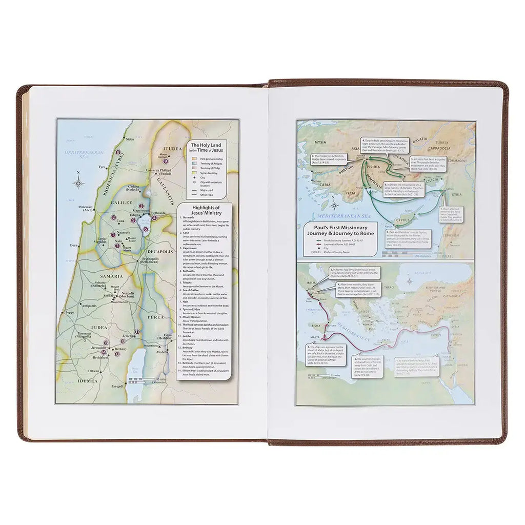 Antiqued Brown Faux Leather Large Print Thinline King James Version Bible with Thumb Index