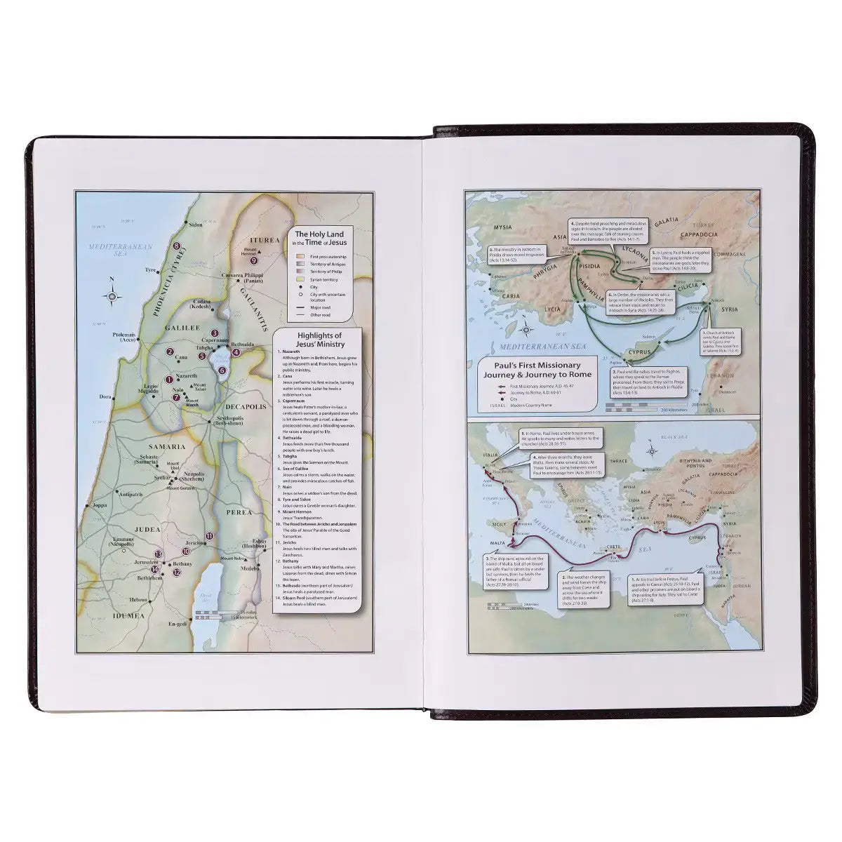 Antiqued Dark Brown Faux Leather Giant Print Full-size King James Version Bible with Thumb Index