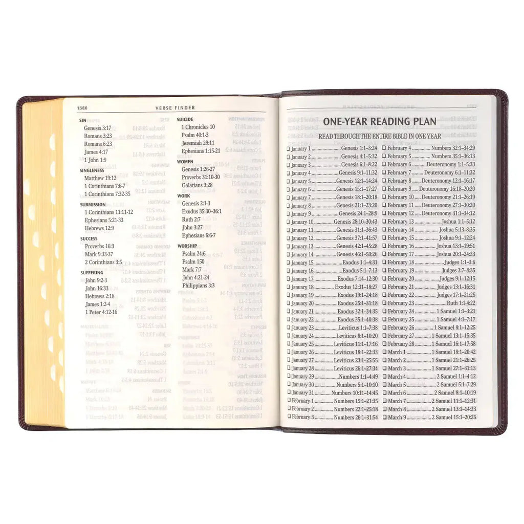 Antiqued Dark Brown Faux Leather Giant Print Full-size King James Version Bible with Thumb Index