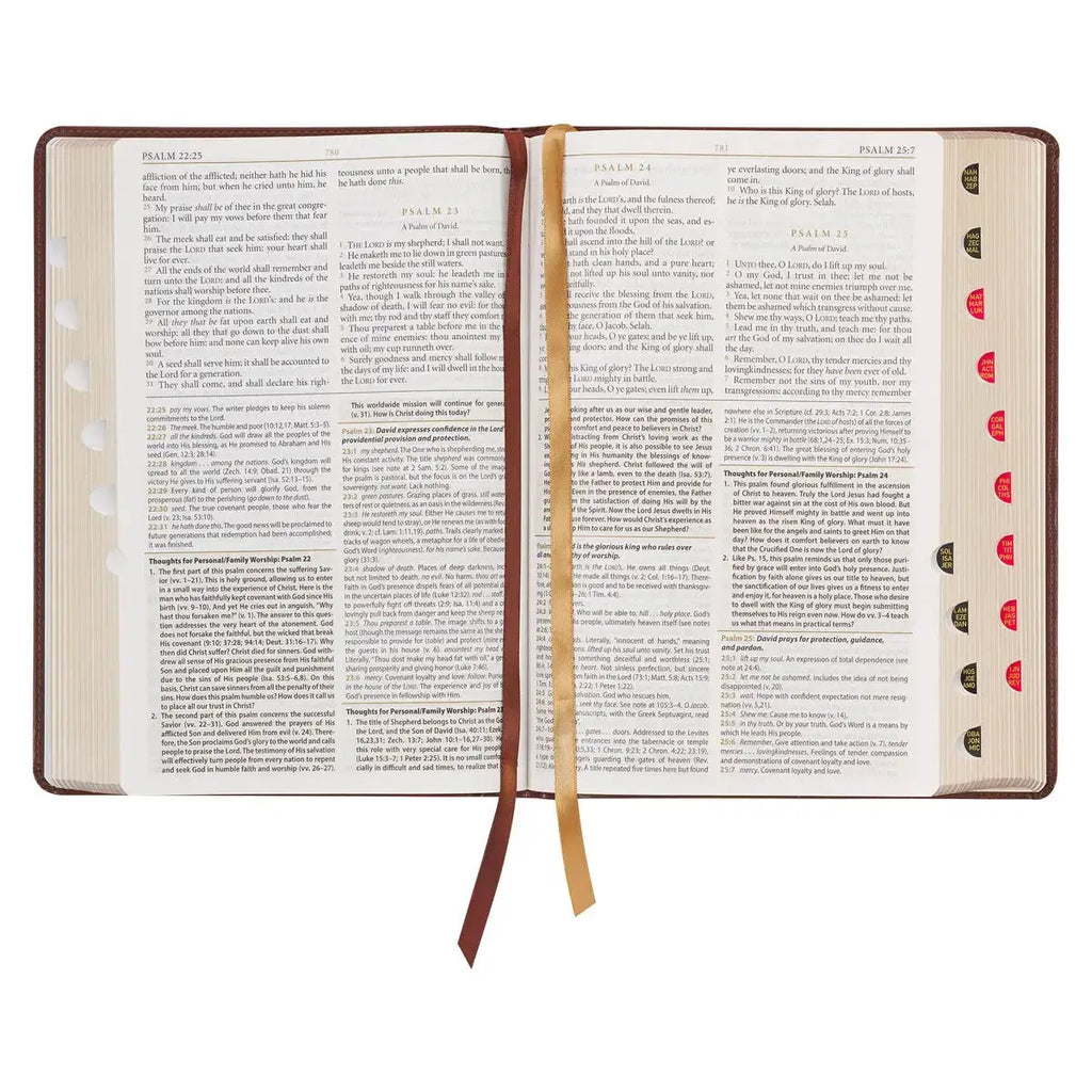 Art Nouveau Framed Toffee Brown Faux Leather Large Print King James Study Bible with Thumb Index