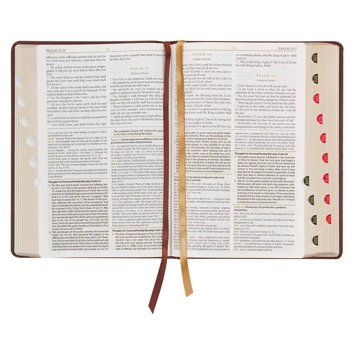 Art Nouveau Framed Toffee Brown Faux Leather Large Print King James Study Bible with Thumb Index