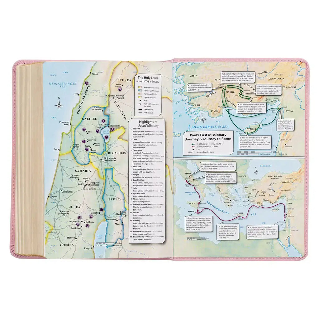Ballet Pink Large Print Compact King James Version Bible