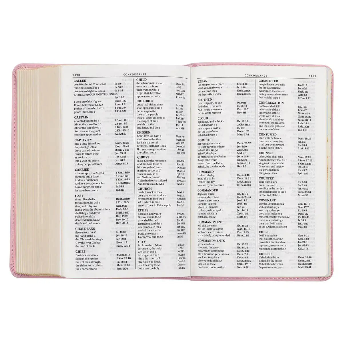 Ballet Pink Large Print Compact King James Version Bible