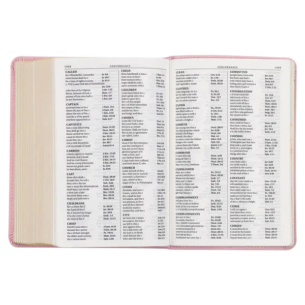 Ballet Pink Large Print Compact King James Version Bible