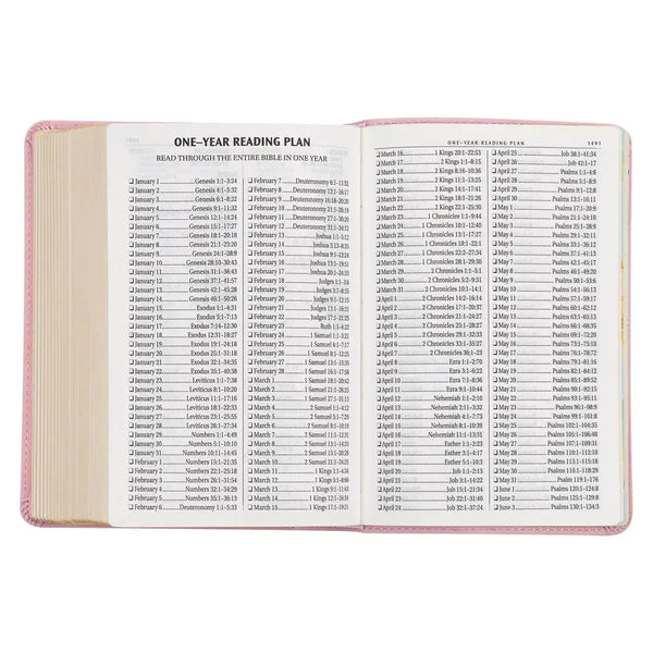 Ballet Pink Large Print Compact King James Version Bible