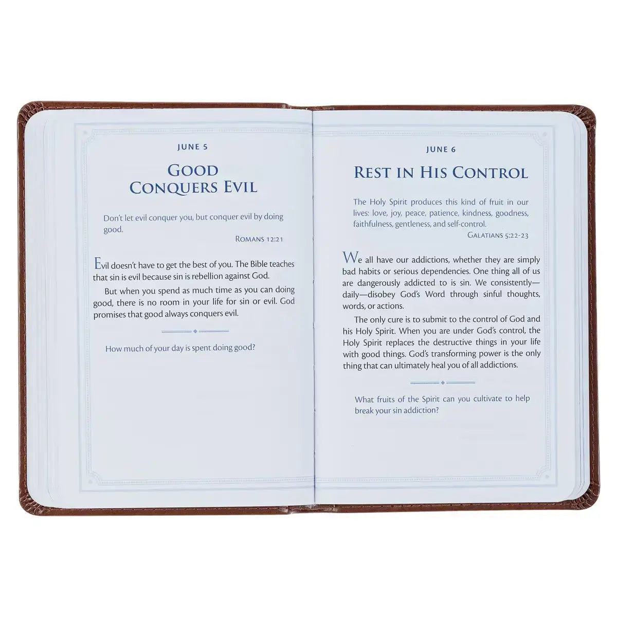 Be Strong & Steadfast Brown Faux Leather Daily Devotional