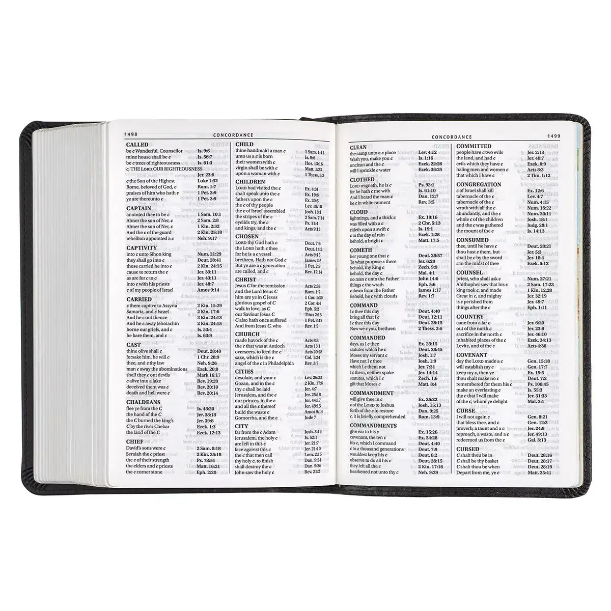 Black Faux Leather Large Print Compact King James Version Bible