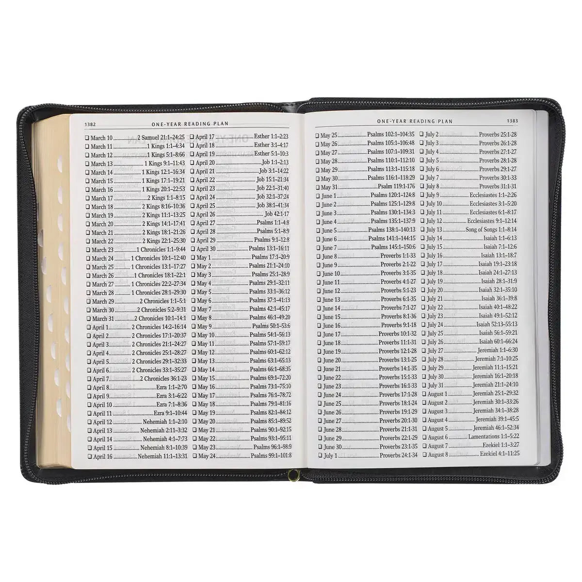 Black Framed Faux Leather Giant Print Full-Size King James Version Bible with Thumb Index & Zippered Closure