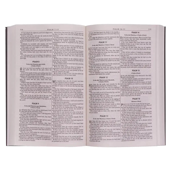 Black Softcover King James Version Gift & Award Bible