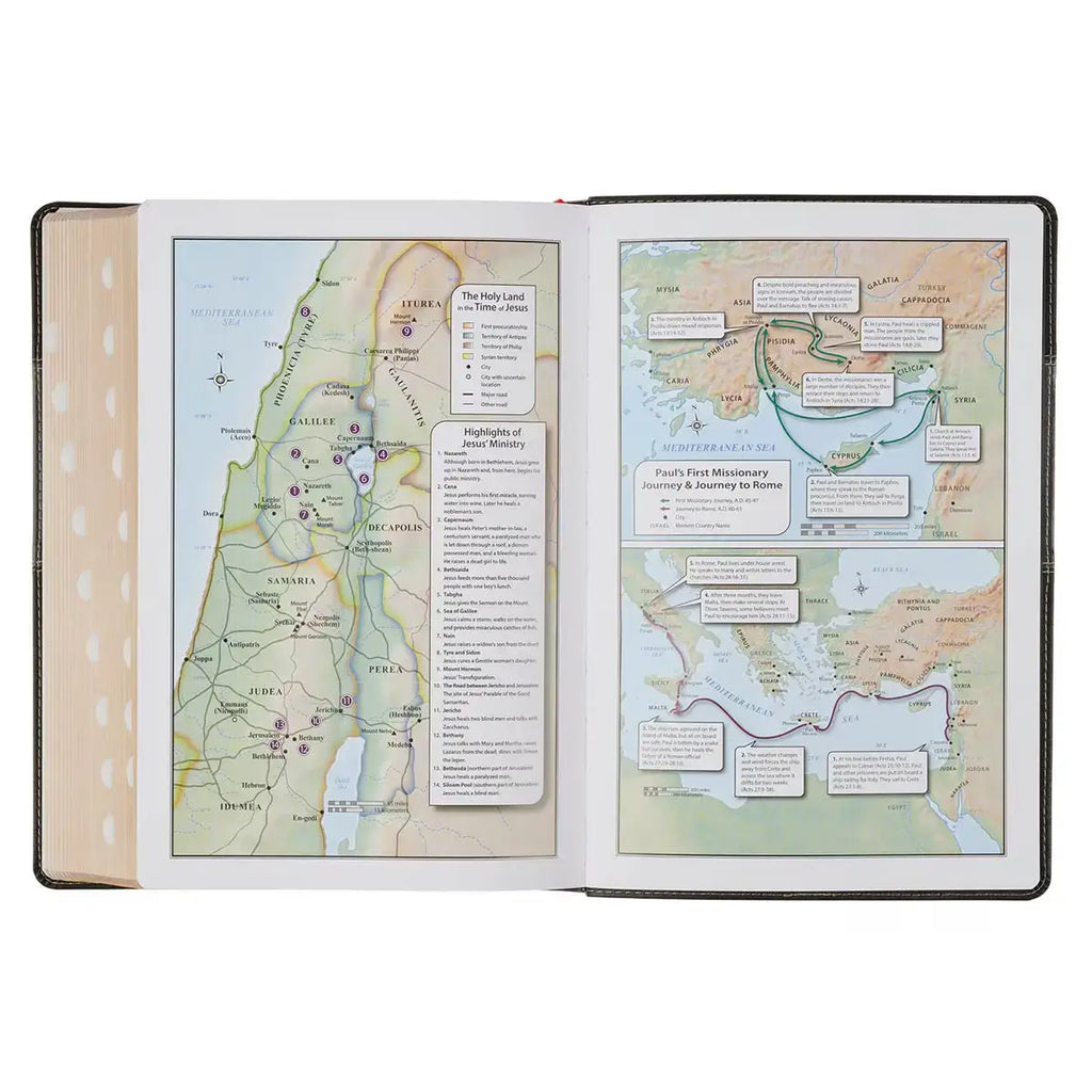 Black & Graphite Faux Leather Large Print King James Version Study Bible with Thumb Index