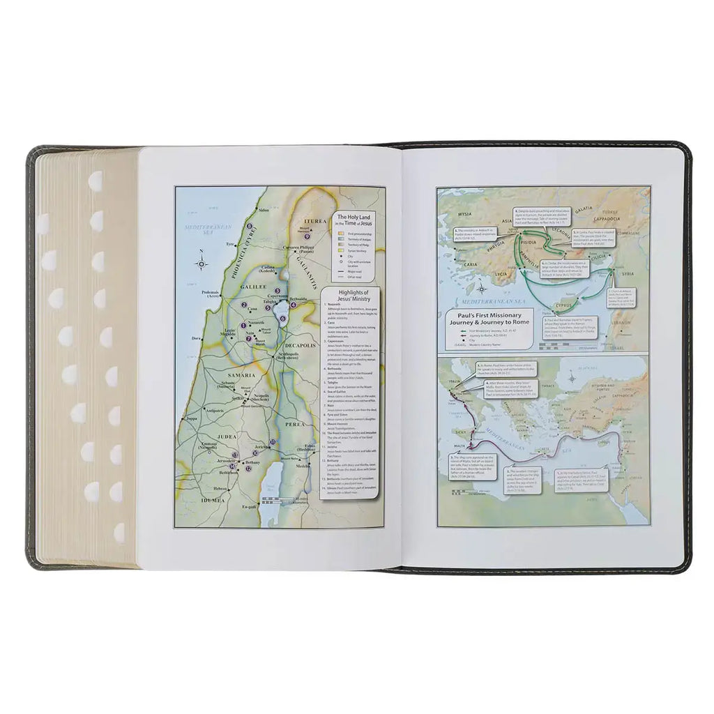 Black & Gray Faux Leather King James Study Bible with Thumb Index