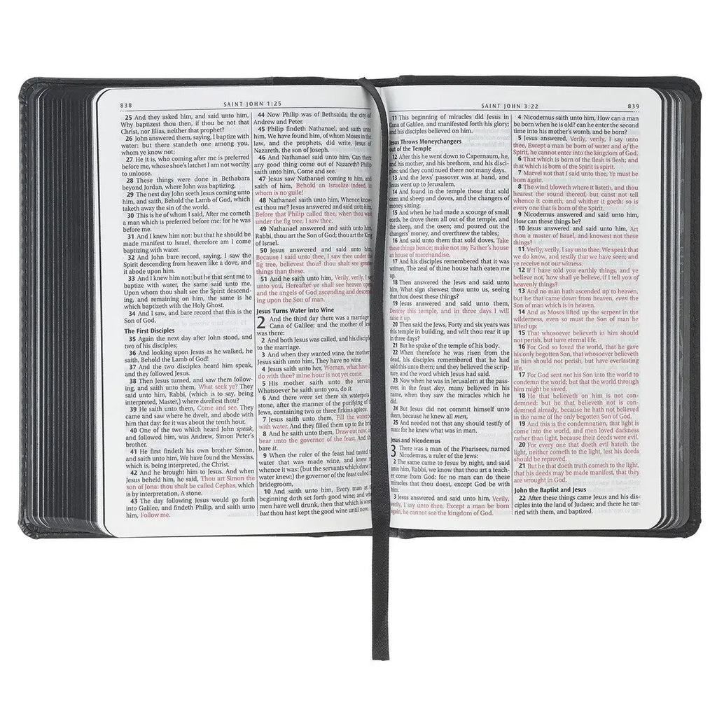 Black & Gray Lion Faux Leather Hardcover Compact King James Version Bible