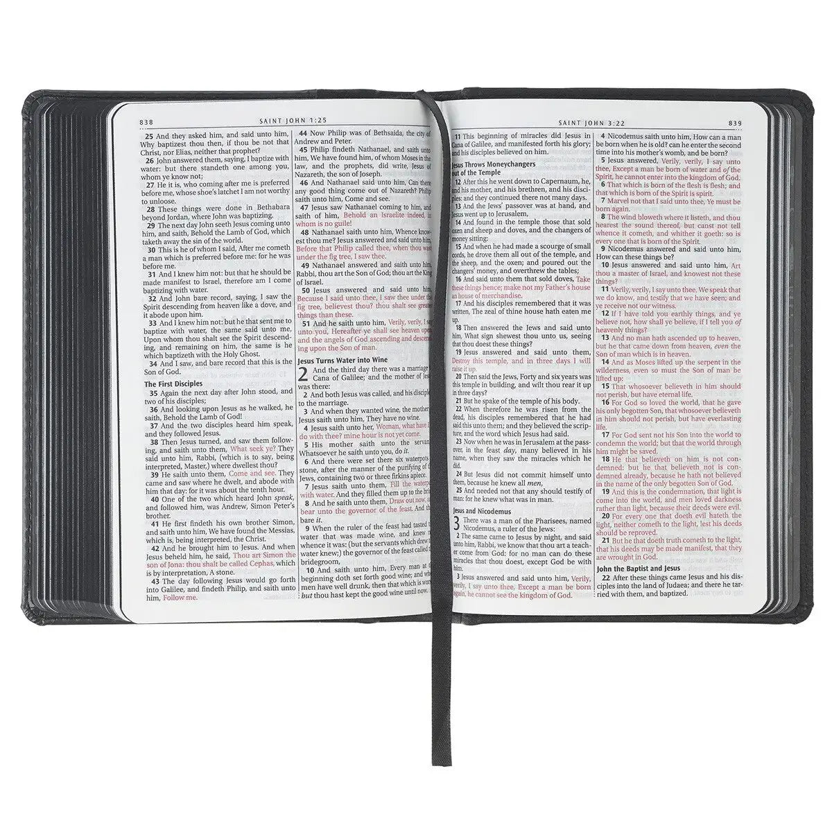 Black & Gray Lion Faux Leather Hardcover Compact King James Version Bible