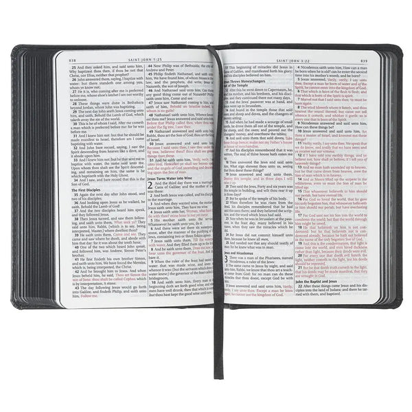 Black & Gray Lion Faux Leather Hardcover Compact King James Version Bible