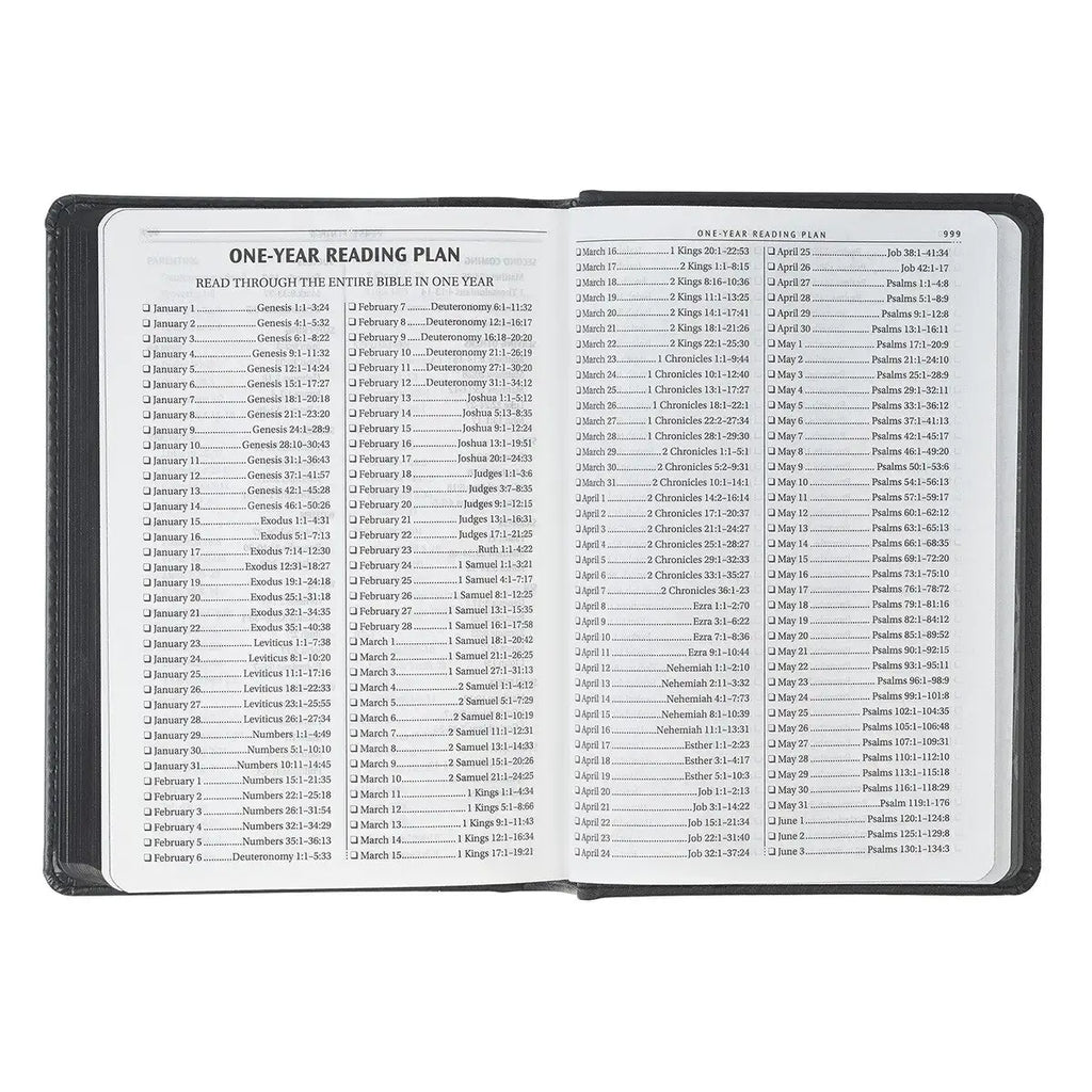 Black & Gray Lion Faux Leather Hardcover Compact King James Version Bible