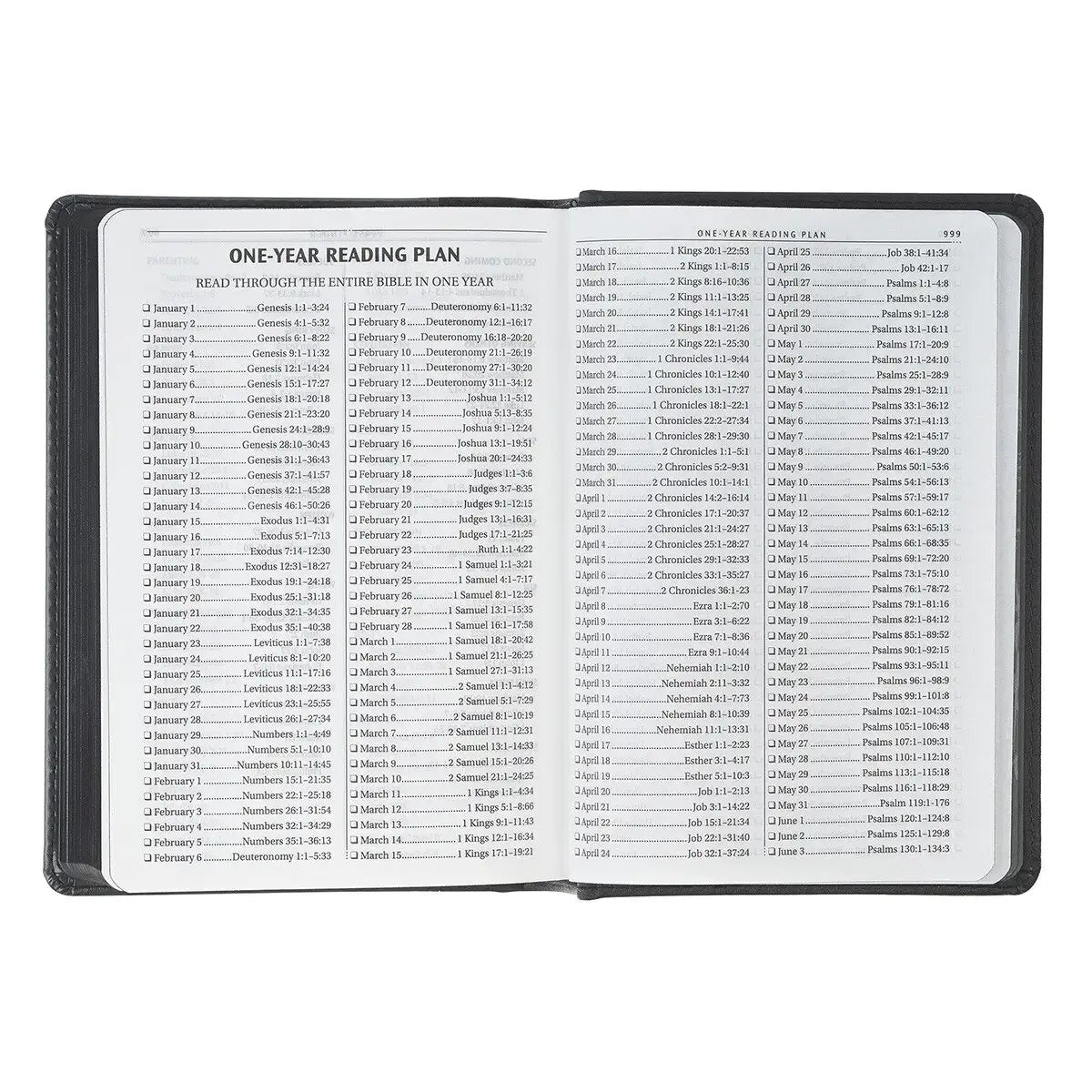 Black & Gray Lion Faux Leather Hardcover Compact King James Version Bible