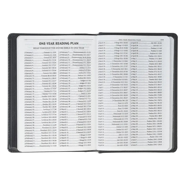 Black & Gray Lion Faux Leather Hardcover Compact King James Version Bible