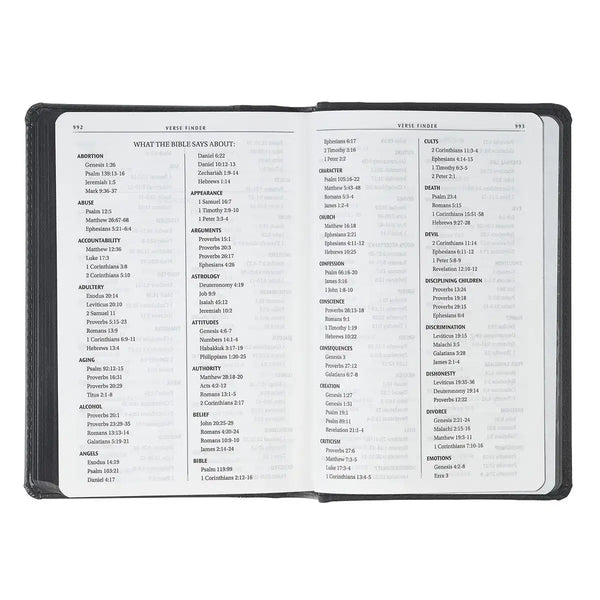 Black & Gray Lion Faux Leather Hardcover Compact King James Version Bible