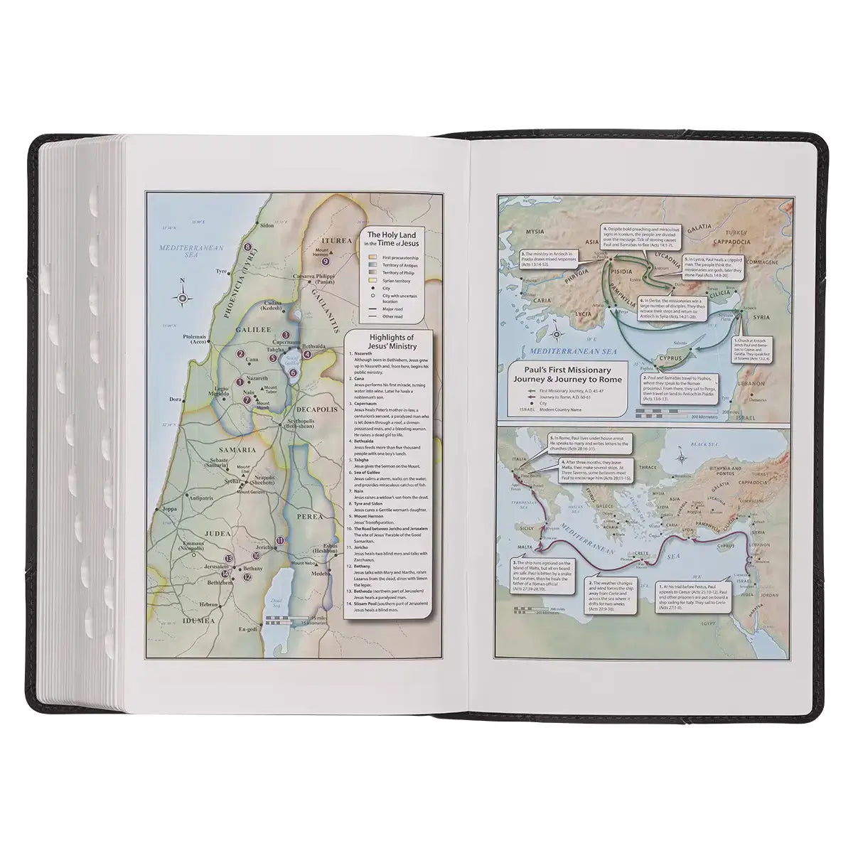 Black & Gray Two-tone Faux Leather Giant Print Standard-size Bible with Thumb Index