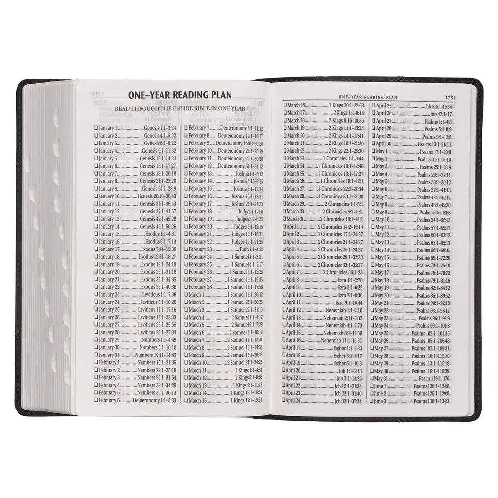 Black & Gray Two-tone Faux Leather Giant Print Standard-size Bible with Thumb Index