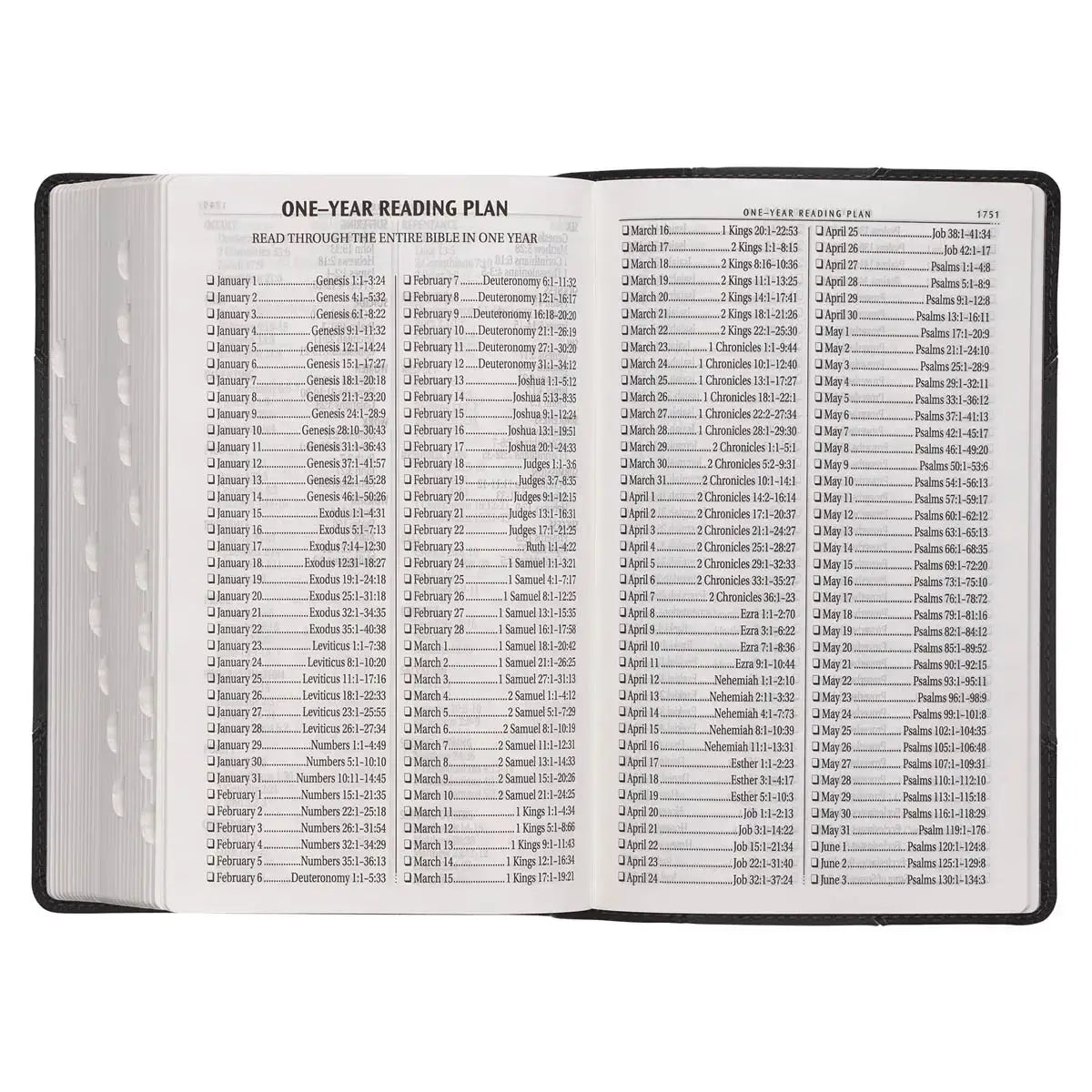 Black & Gray Two-tone Faux Leather Giant Print Standard-size Bible with Thumb Index