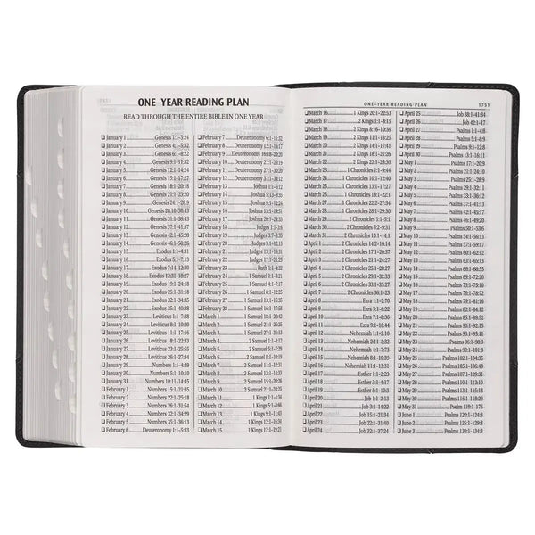 Black & Gray Two-tone Faux Leather Giant Print Standard-size Bible with Thumb Index