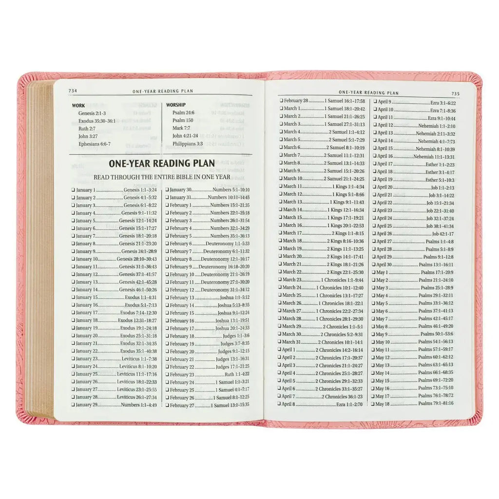 Blossom Pink Faux Leather Gift Edition King James Version Bible