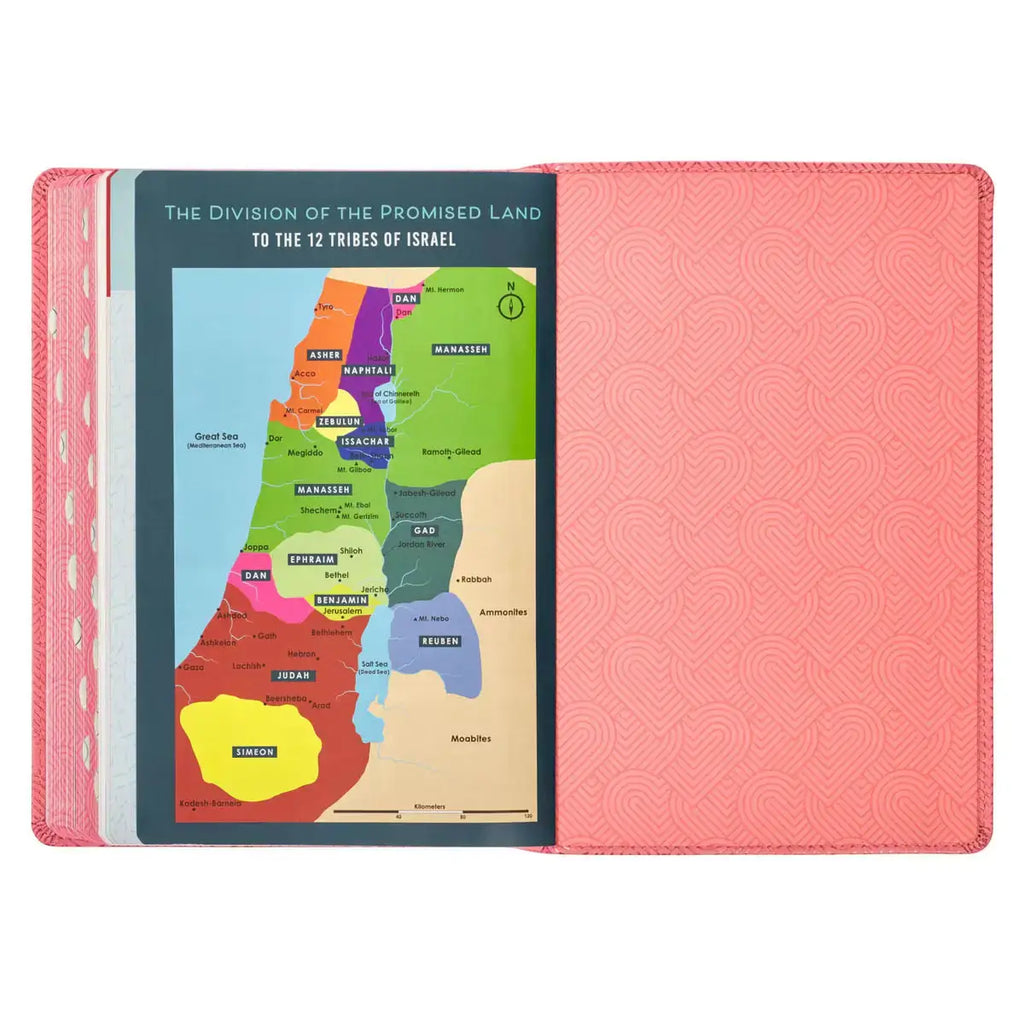 Blossom Pink Heart Faux Leather King James Version Kid's Bible