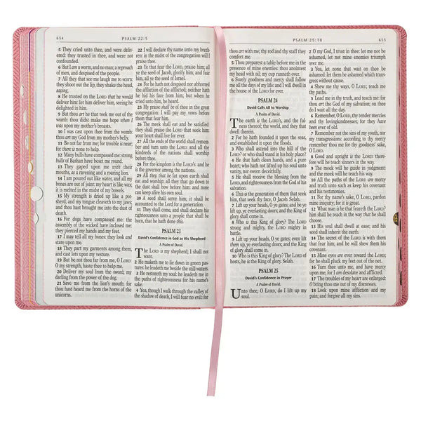 Blossom Pink Heart Faux Leather King James Version Kid's Bible