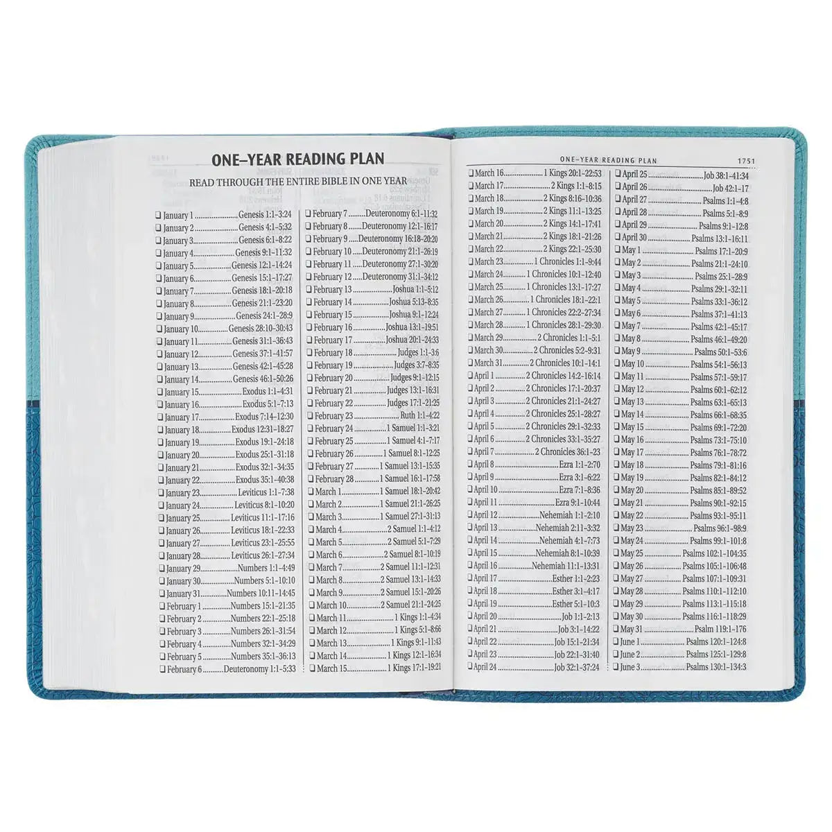 Blue Two-tone Faux Leather Giant Print Standard-Size King James Bible with Thumb Index