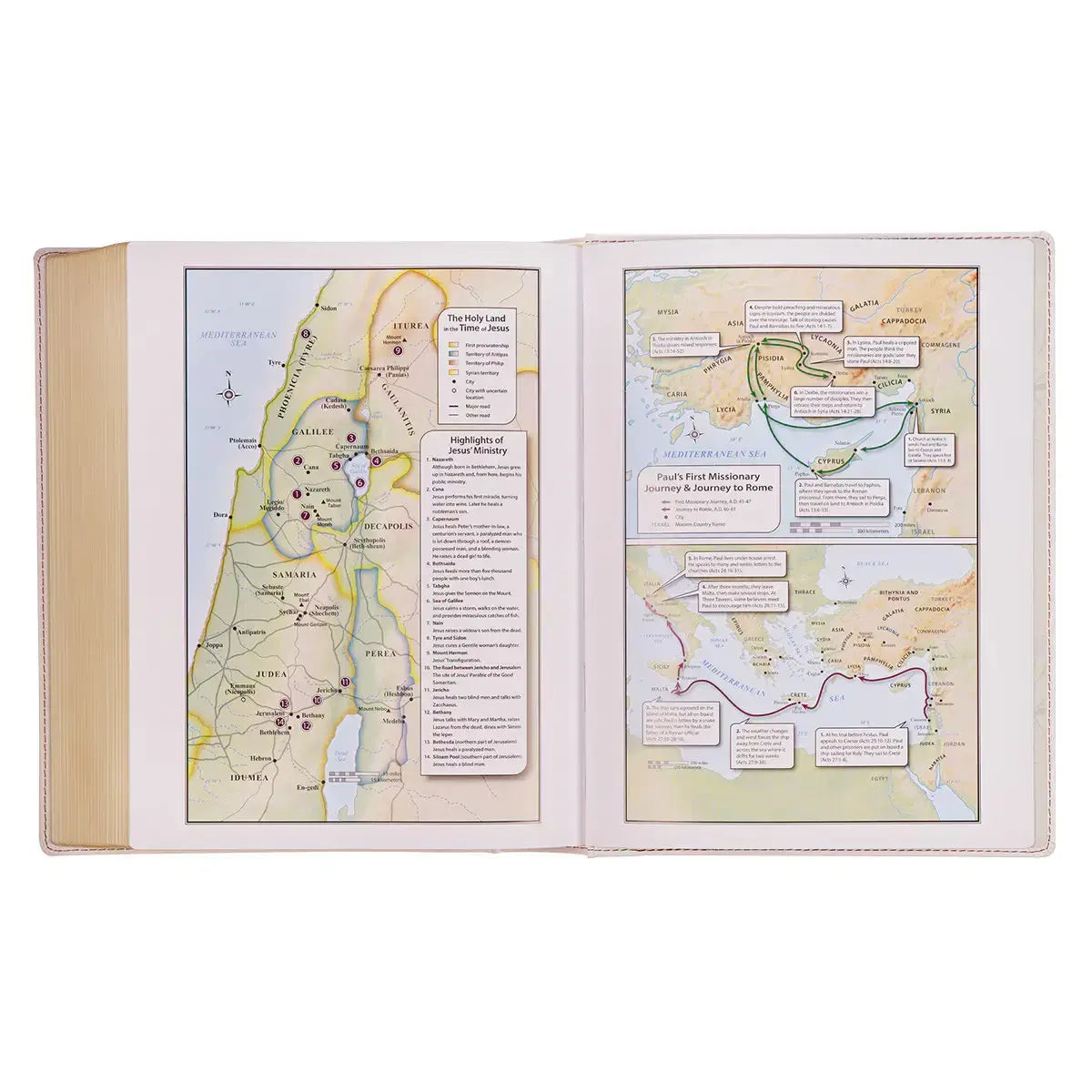 Blush Bouquet Faux Leather Hardcover Large Print King James Version Note-Taking Bible
