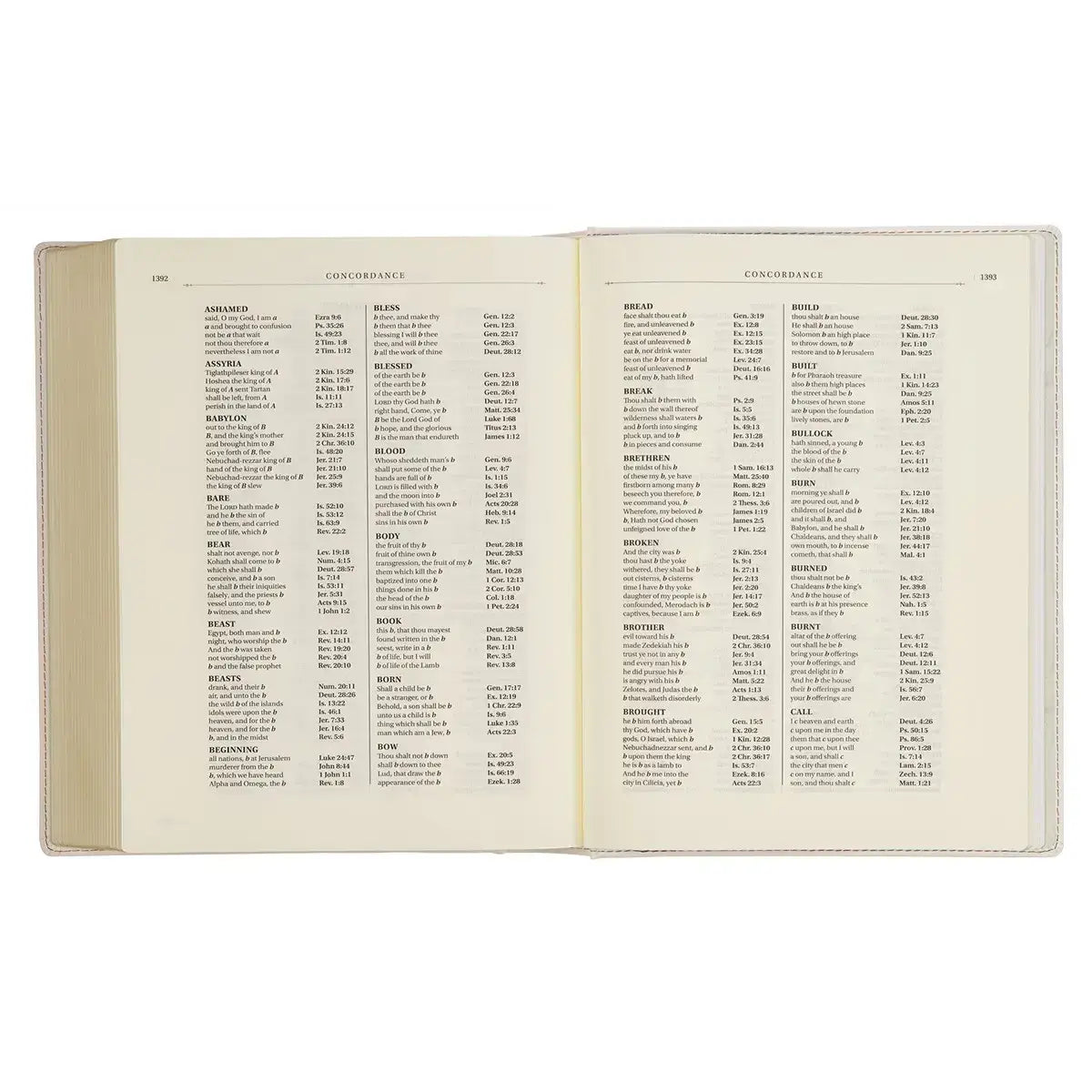 Blush Bouquet Faux Leather Hardcover Large Print King James Version Note-Taking Bible