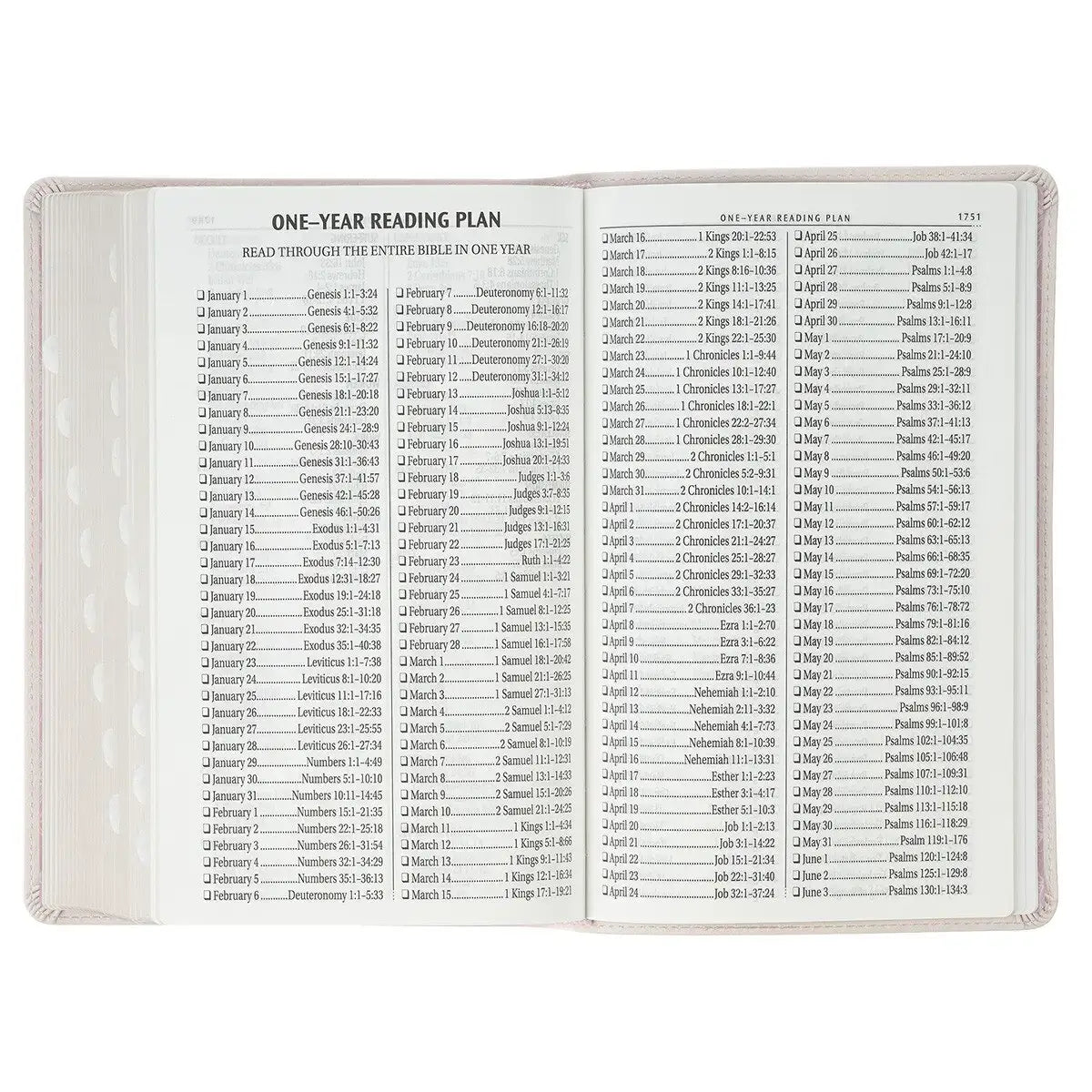 Blush Floral Faux Leather Standard-size Giant Print KJV Bible Thumb Index