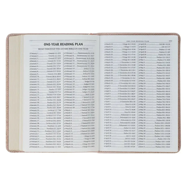 Blush Pink Floral Faux Leather Compact King James Version Bible