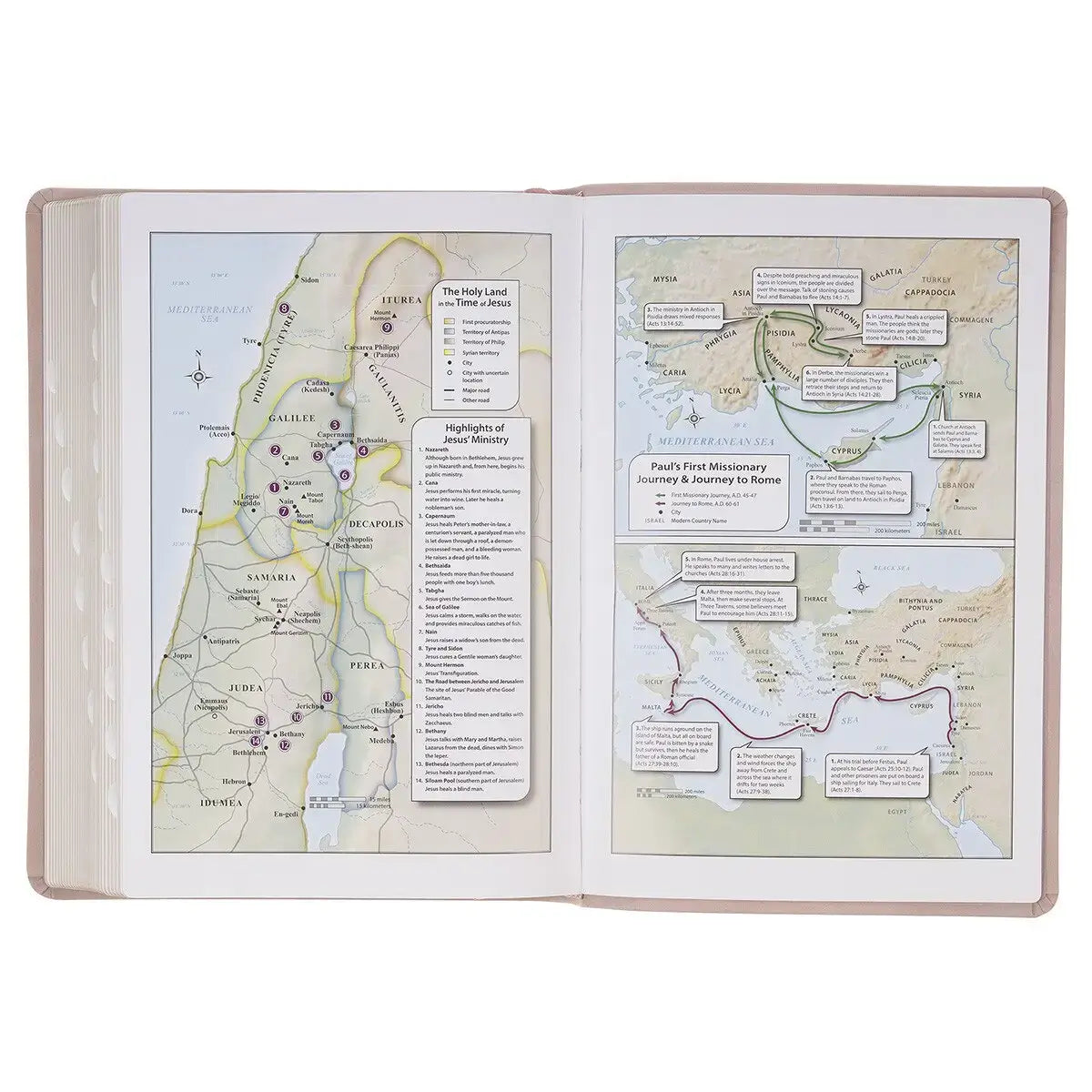 Blush Pink Floral Giant Print Full-size King James Version Bible with Thumb Index