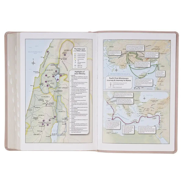 Blush Pink Floral Giant Print Full-size King James Version Bible with Thumb Index