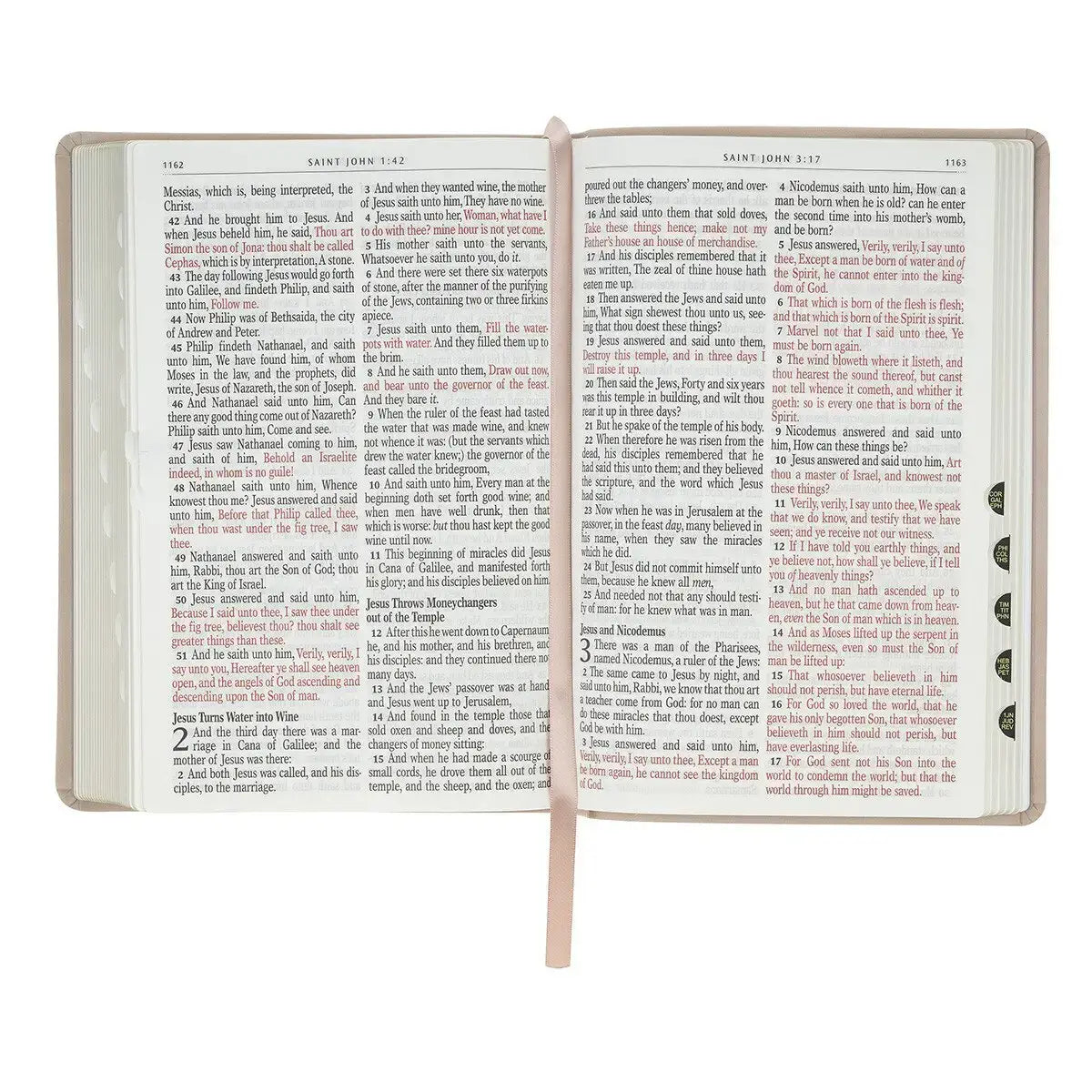 Blush Pink Floral Giant Print Full-size King James Version Bible with Thumb Index