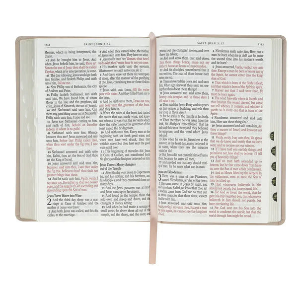 Blush Pink Floral Giant Print Full-size King James Version Bible with Thumb Index