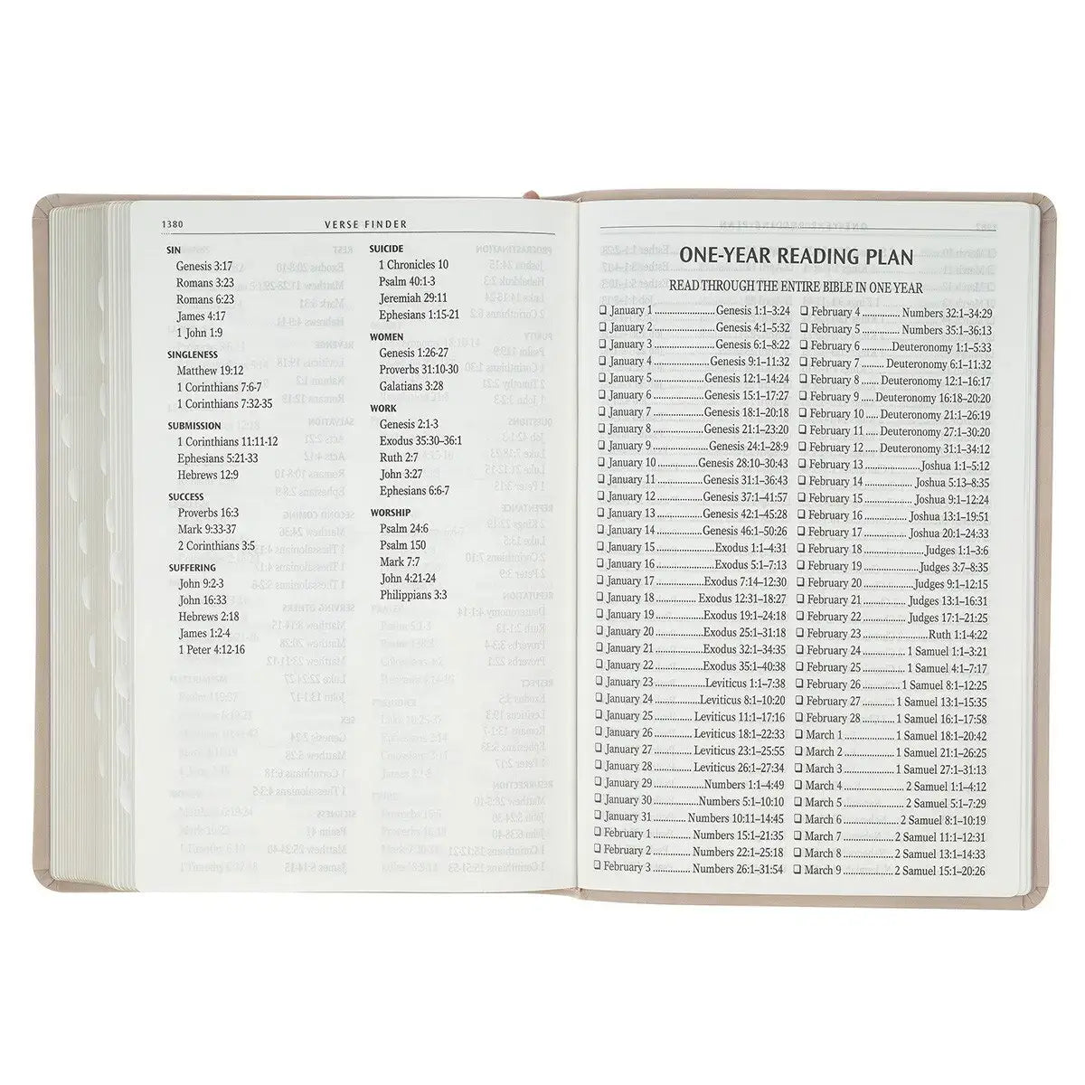 Blush Pink Floral Giant Print Full-size King James Version Bible with Thumb Index