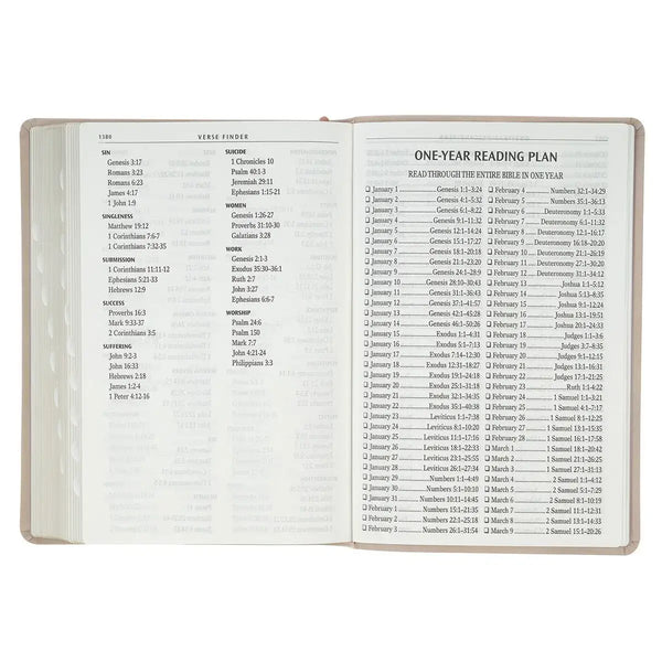 Blush Pink Floral Giant Print Full-size King James Version Bible with Thumb Index