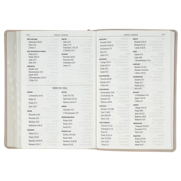Blush Pink Floral Giant Print Full-size King James Version Bible with Thumb Index
