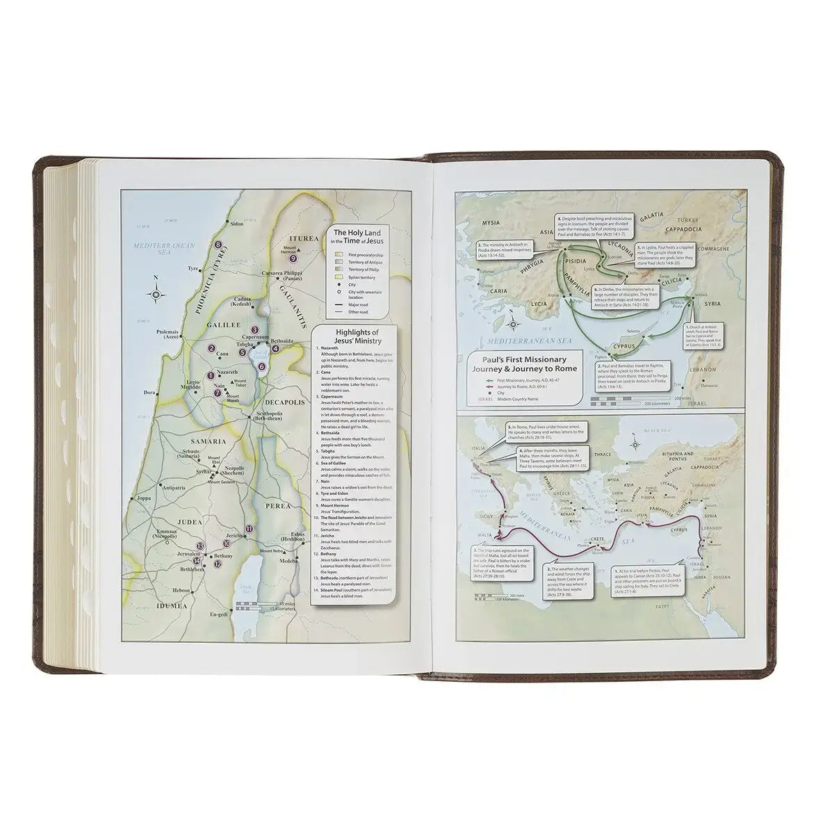 Brown Crown of Thorns Giant Print Full-size King James Version Bible with Thumb Index