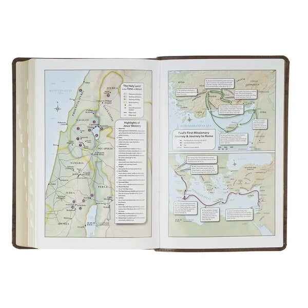 Brown Crown of Thorns Giant Print Full-size King James Version Bible with Thumb Index