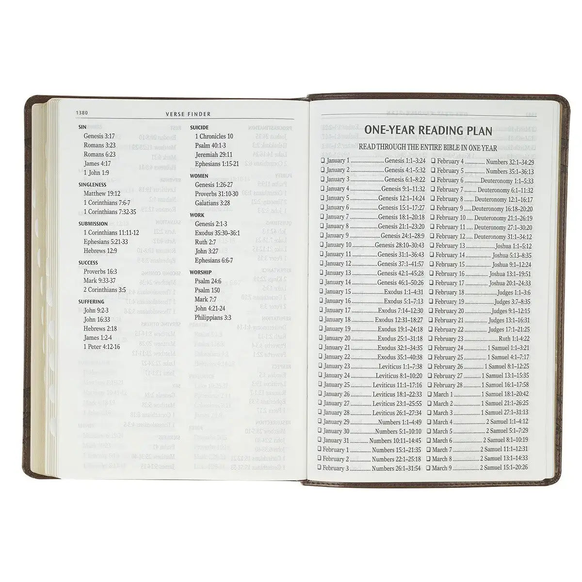 Brown Crown of Thorns Giant Print Full-size King James Version Bible with Thumb Index