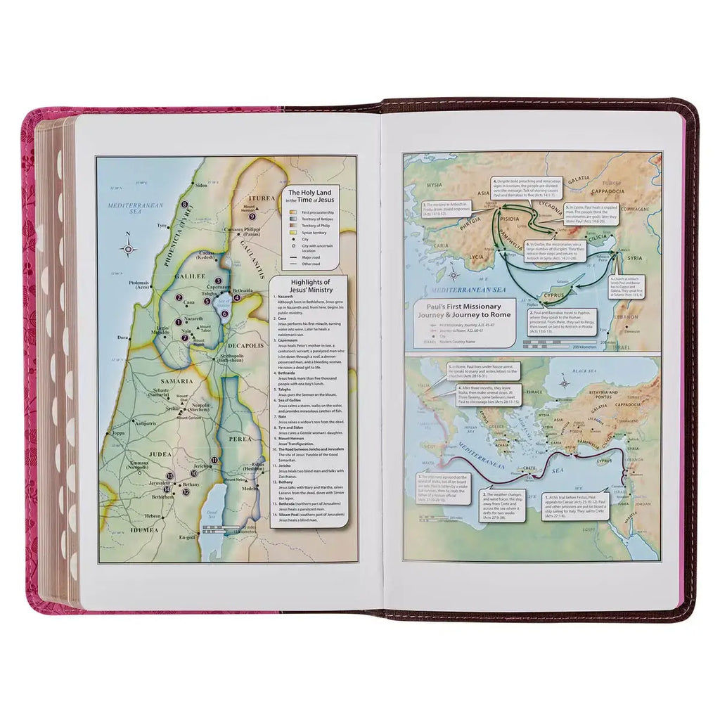Brown & Berry Pink Faux Leather Giant Print Standard-size King James Version Bible with Thumb Index
