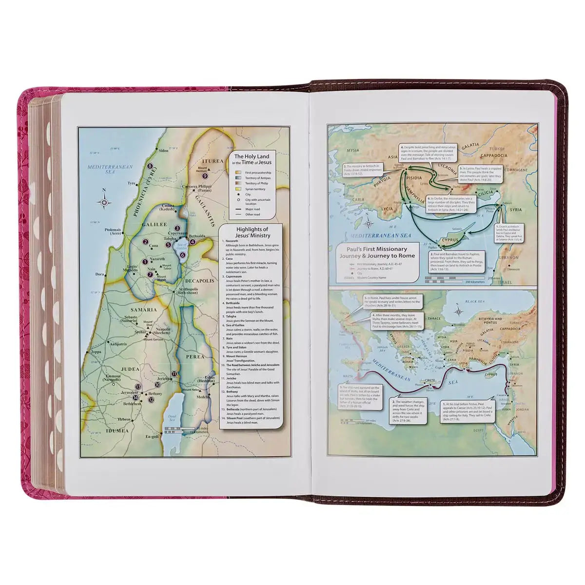 Brown & Berry Pink Faux Leather Giant Print Standard-size King James Version Bible with Thumb Index