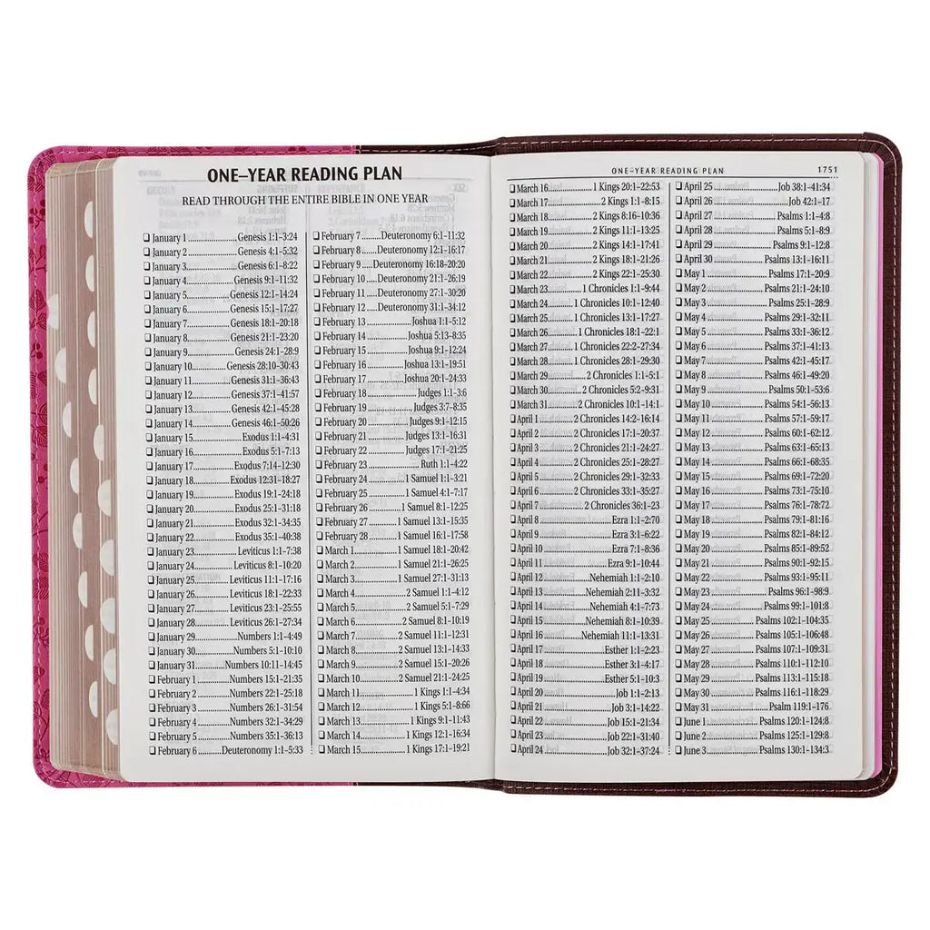 Brown & Berry Pink Faux Leather Giant Print Standard-size King James Version Bible with Thumb Index