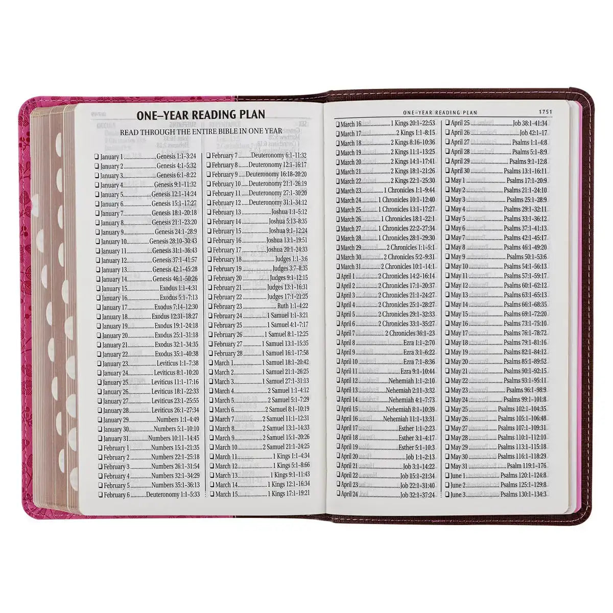 Brown & Berry Pink Faux Leather Giant Print Standard-size King James Version Bible with Thumb Index
